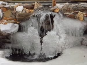 Ice Build during Winter at Pond