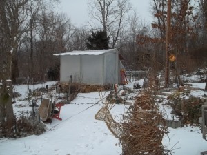 Green House in the Snow